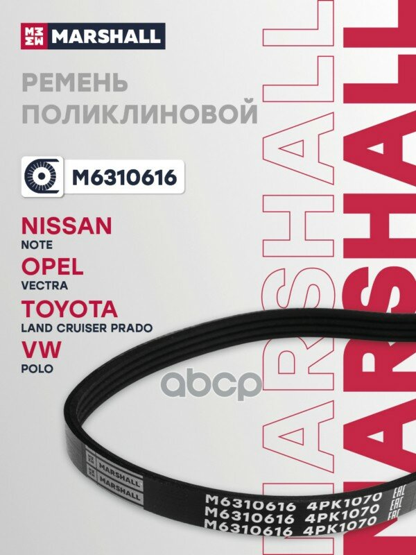 Ремень поликлиновой MARSHALL арт. M6310616