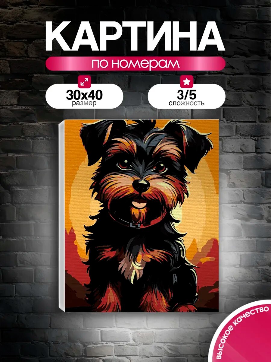 Картина по номерам 30x40 Йорк на закате