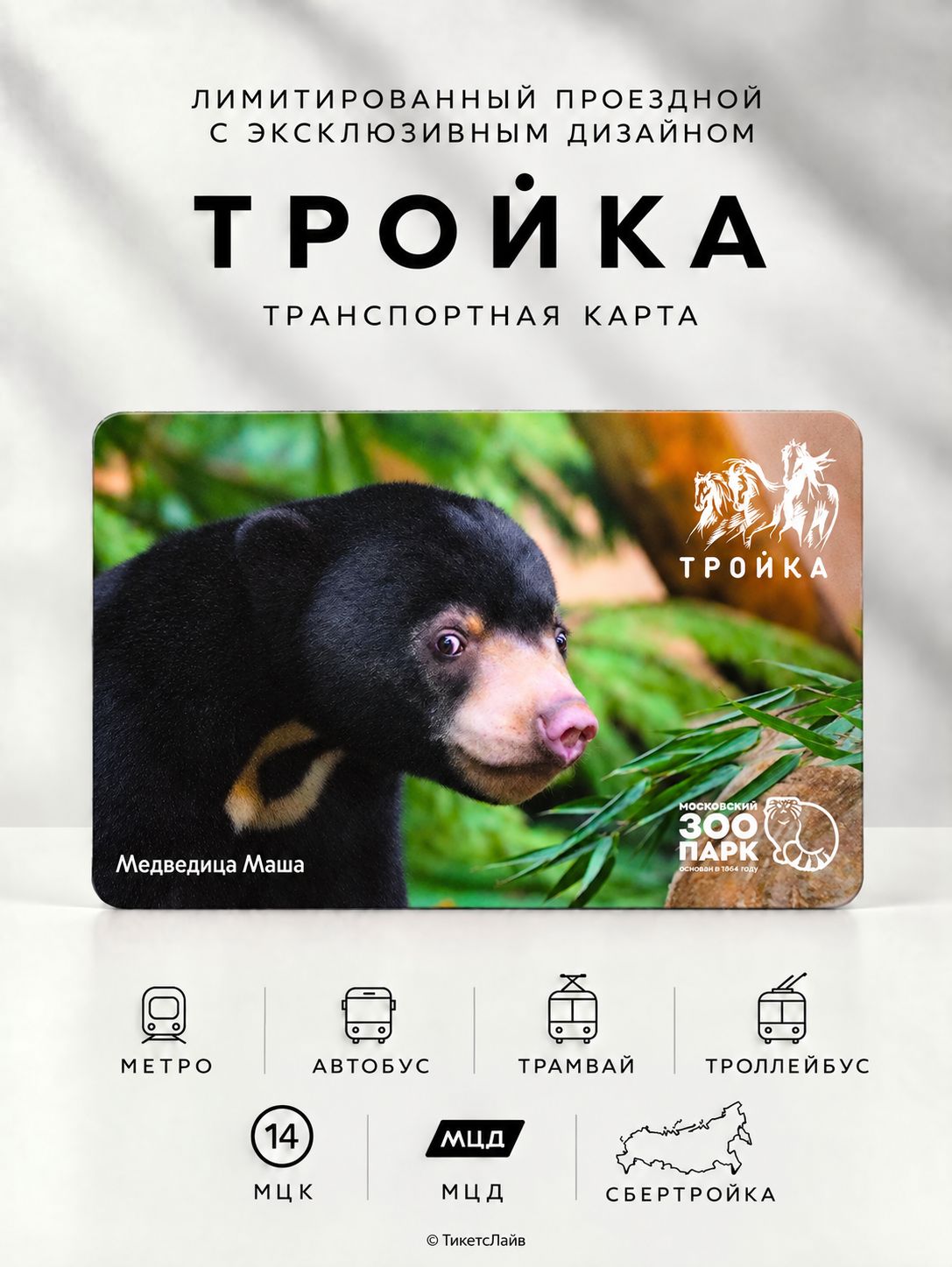 Транспортная карта Тройка коллекционная - Медведица Маша. Московский зоопарк (вариант 3)