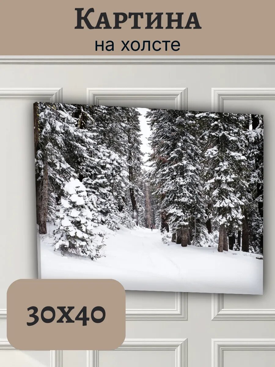 Картина Финляндия Finland 30x40 зимний лесной пейзаж
