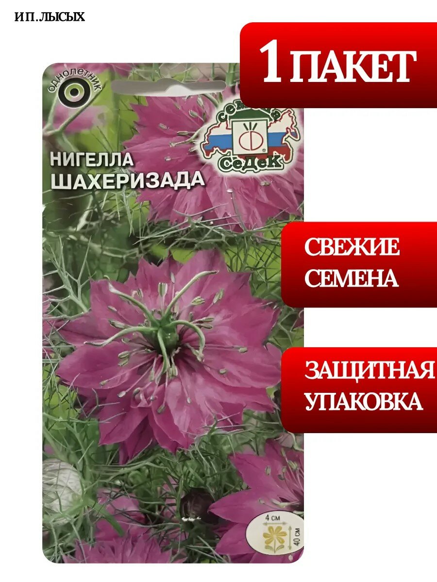 Семена Нигелла "Шахеризада"