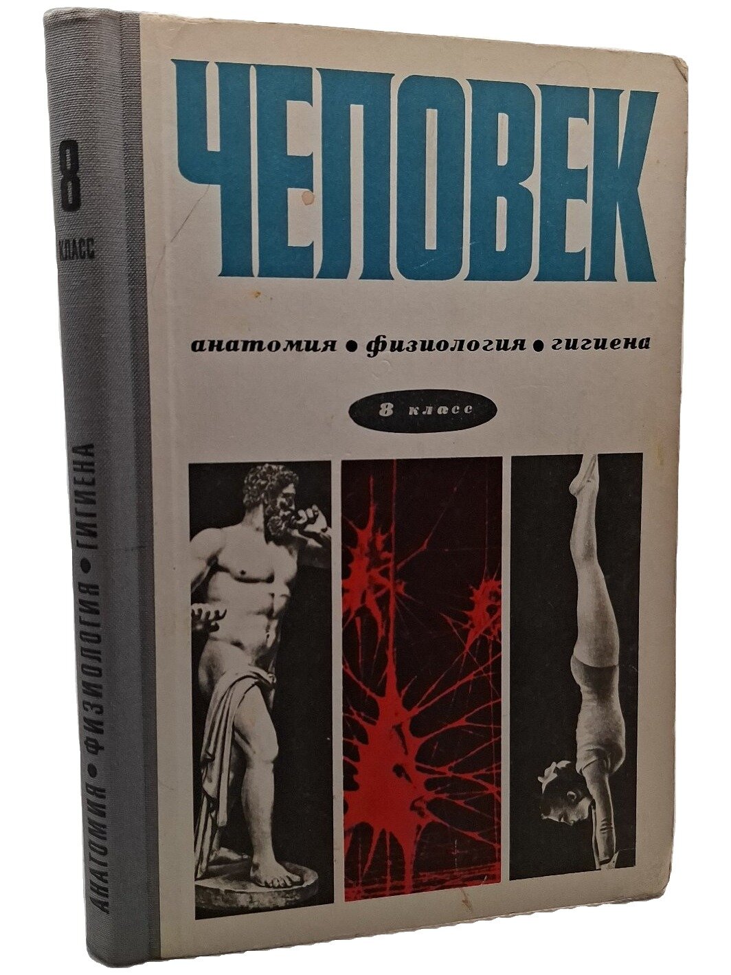 Человек. Анатомия, физиология и гигиена. Цузмер Анна Моисеевна. Просвещение. 1969. Твердый переплет