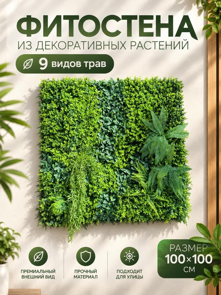 Фитостена из декоративных растений 9 видов трав в размере 100 на 100 см