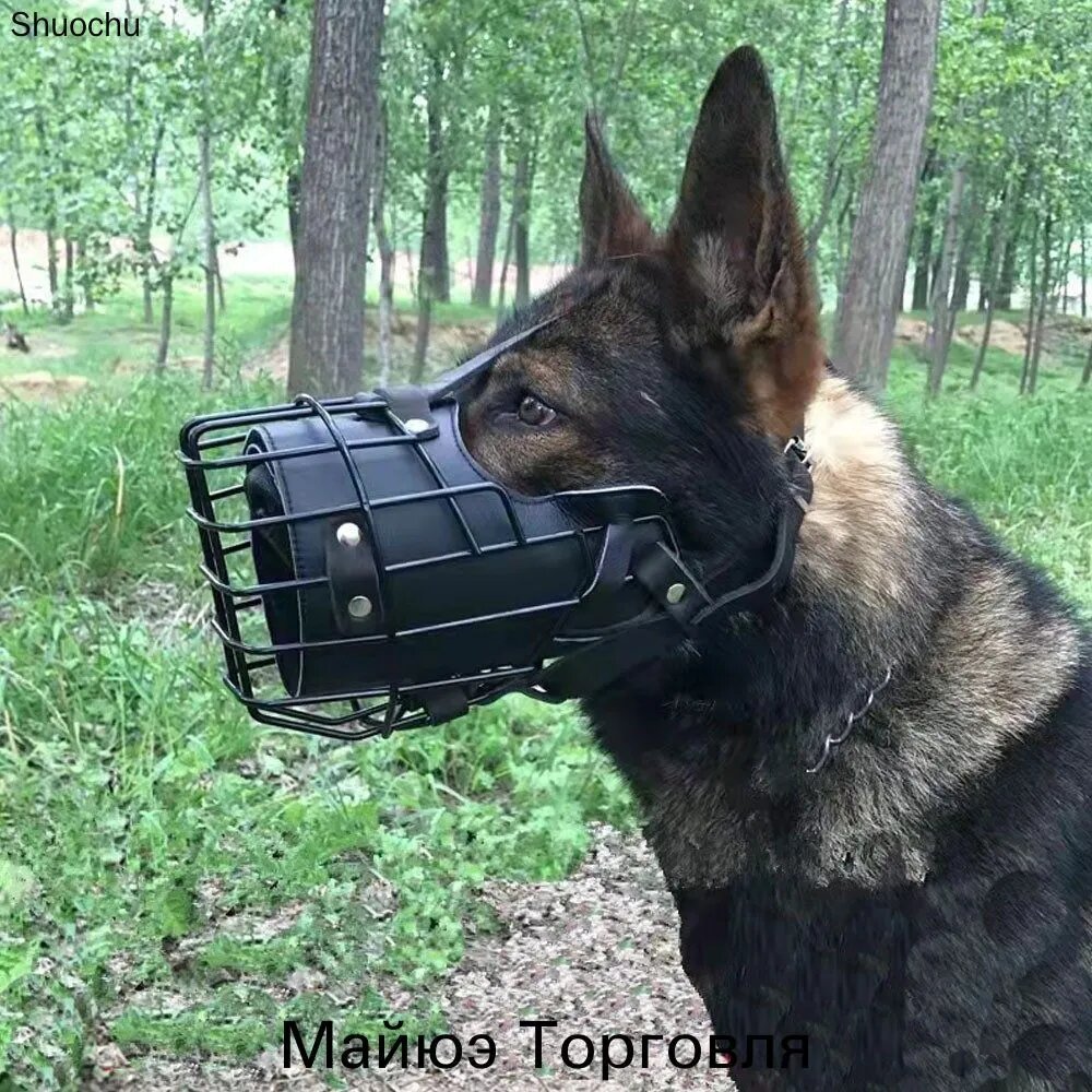 Намордник