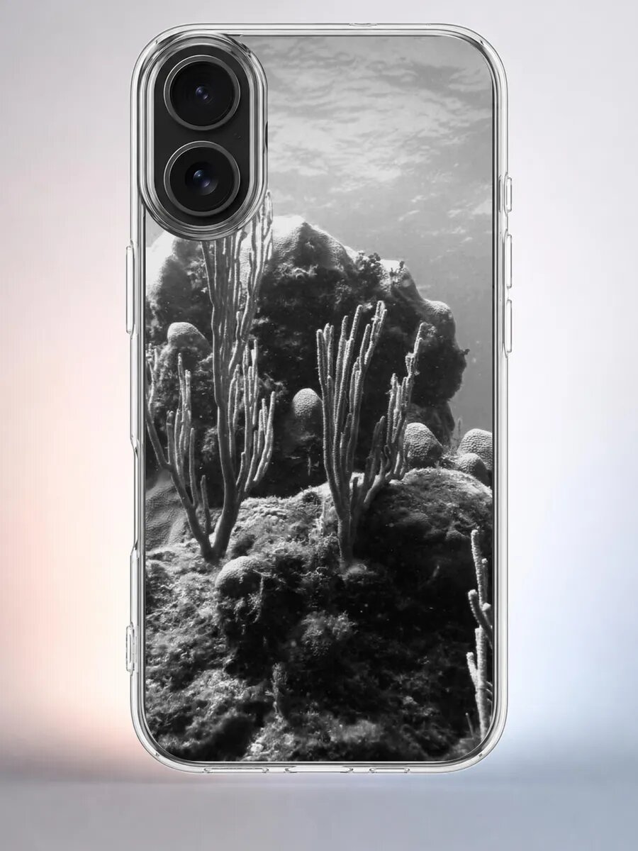Чехол iPhone 16 кораллы подводные силиконовый