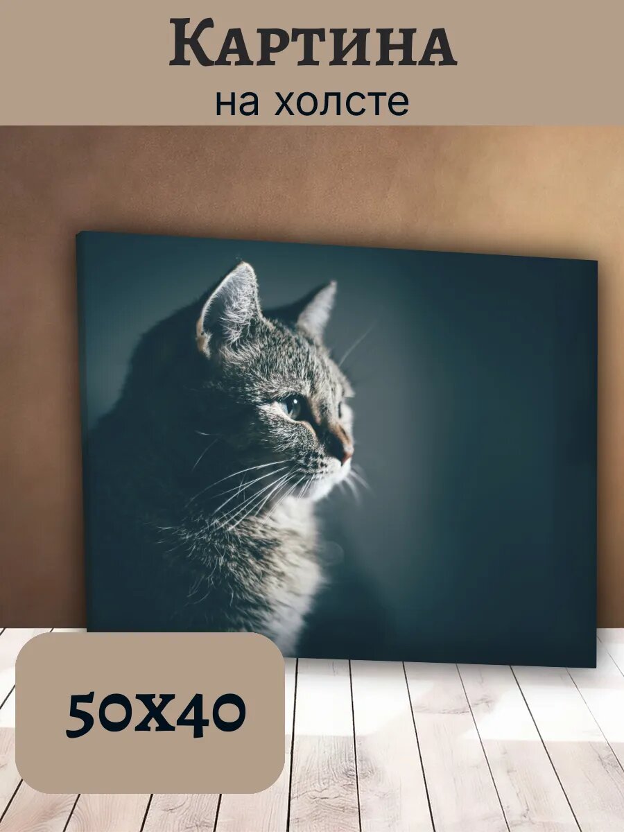 Картина Постер Кот Кошка Cat 40x50 полосатый Табби