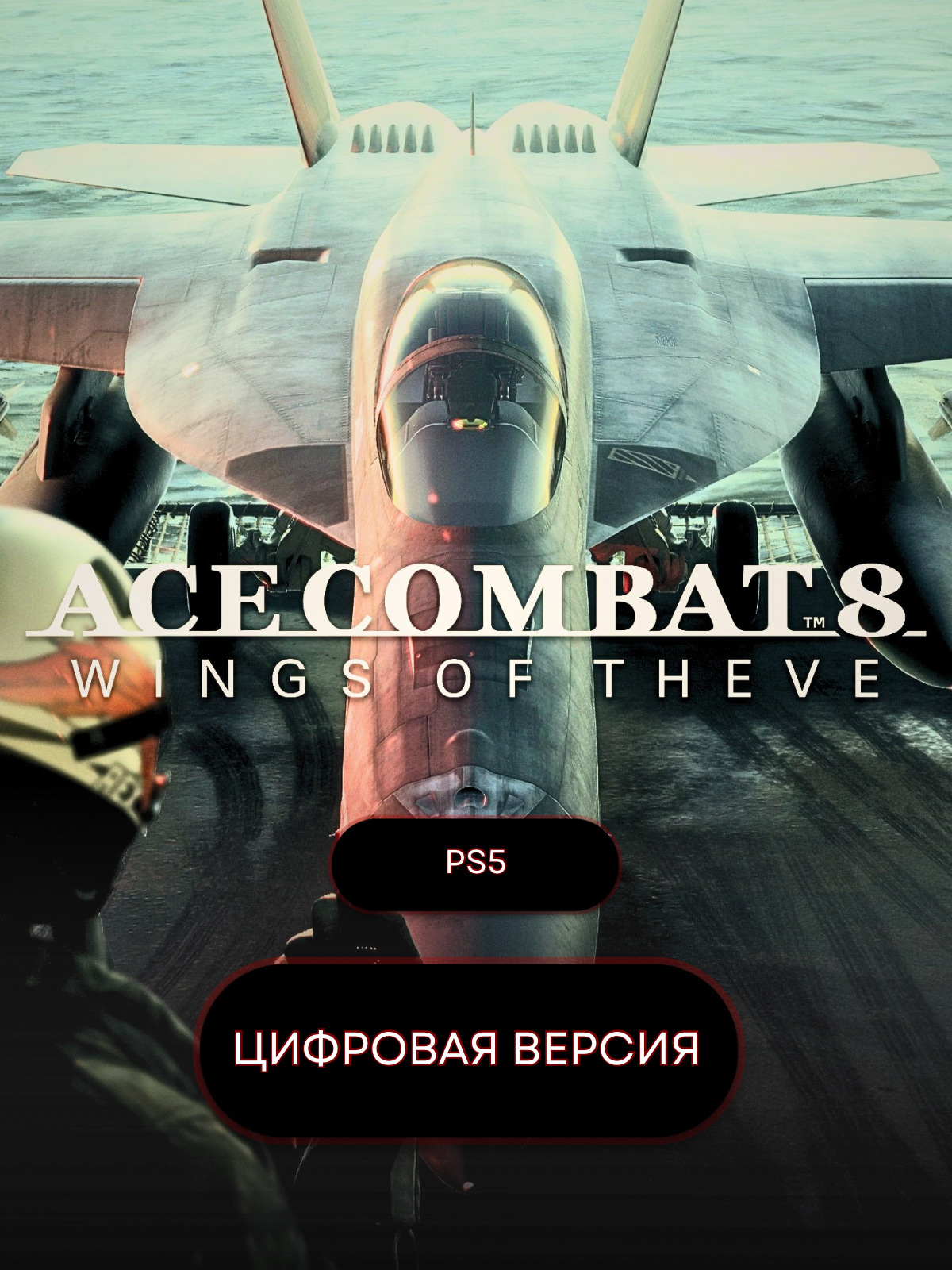 Игра ACE COMBAT 8: WINGS OF THEVE для PS5