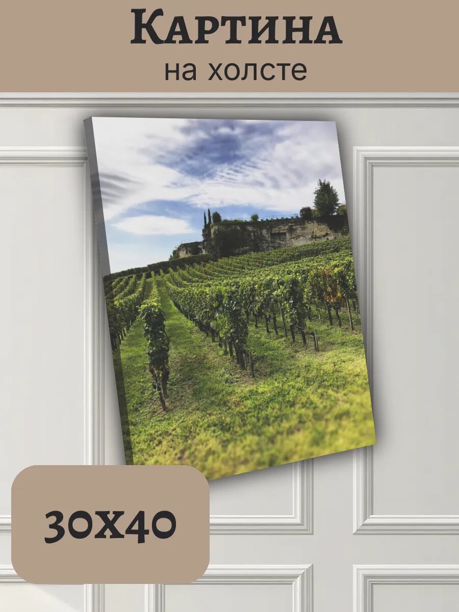 Картина Постер Франция France 30x40 виноградник Бордо