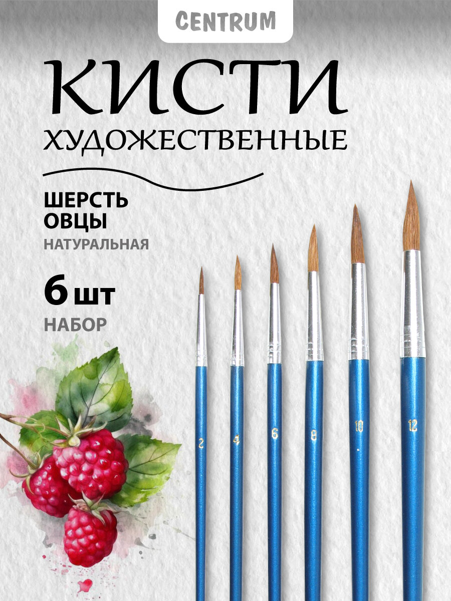 Кисть CENTRUM 6 шт.