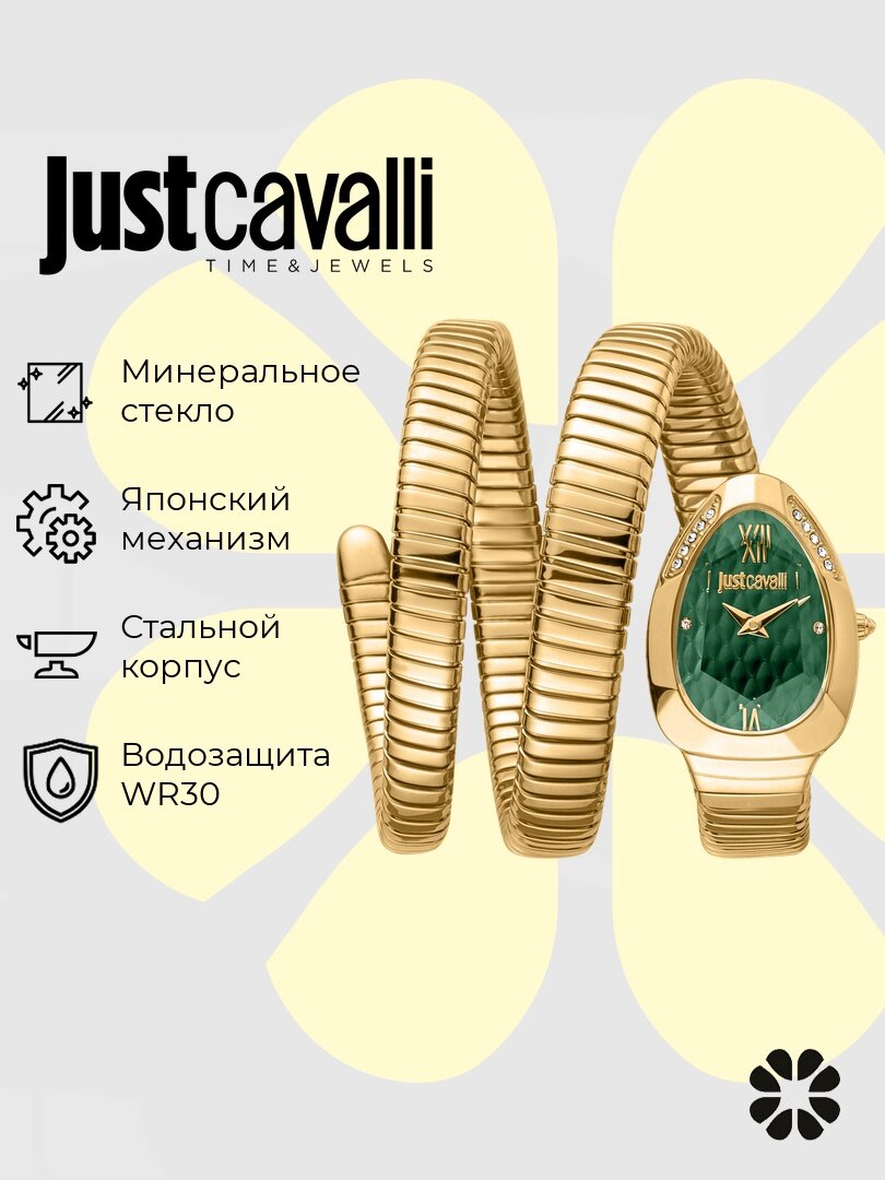 Наручные часы Just Cavalli