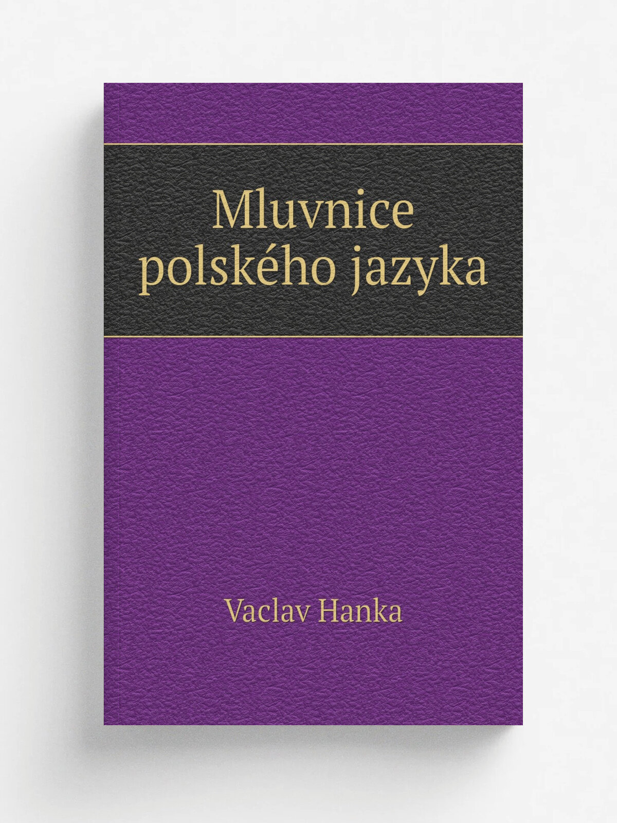 Mluvnice polsk.ho jazyka | Vaclav Hanka | 1850 | Sklad J. G. Kalvovsk.ho knihkupectvi | Репринт