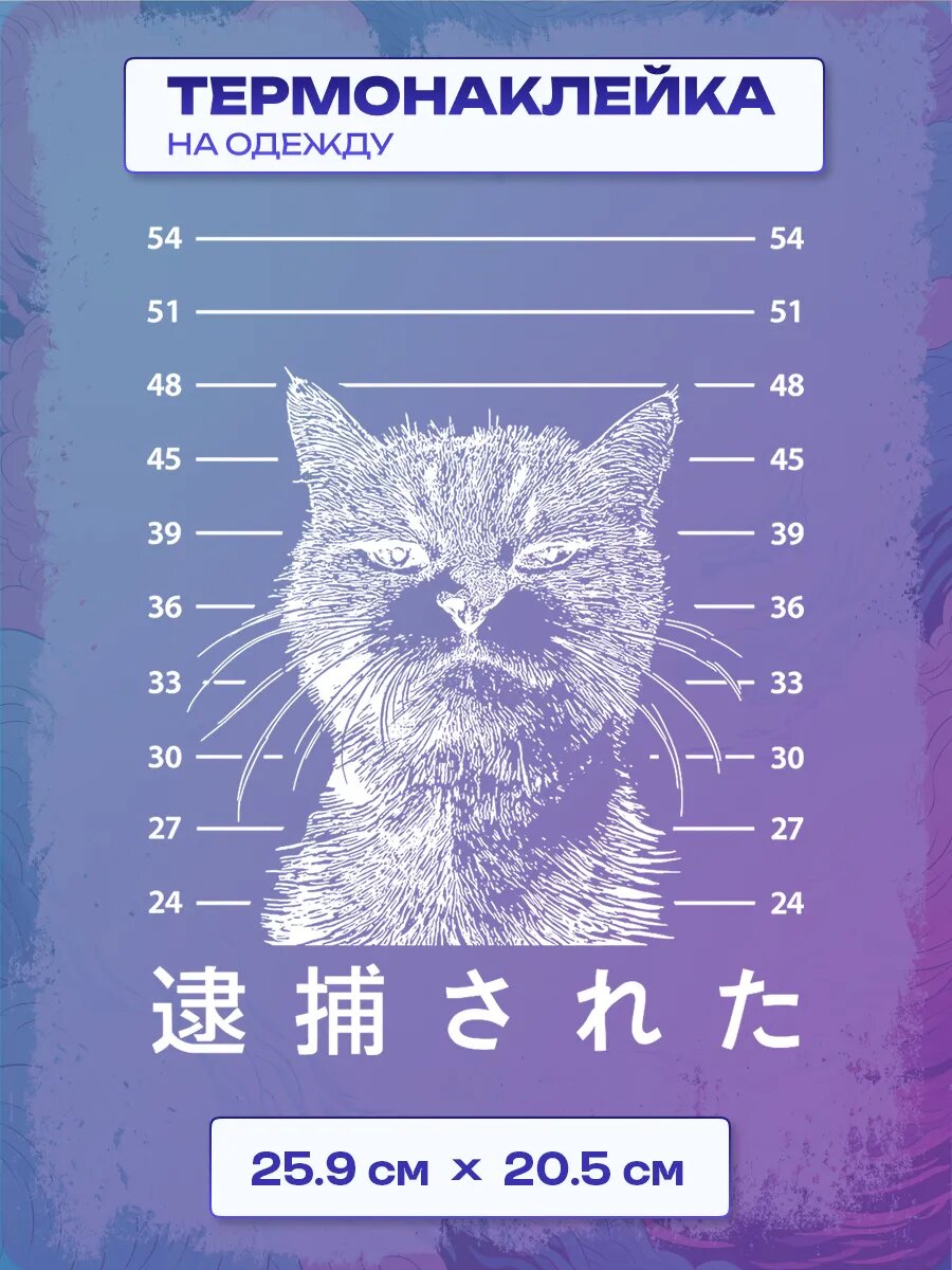 Термонаклейка кот