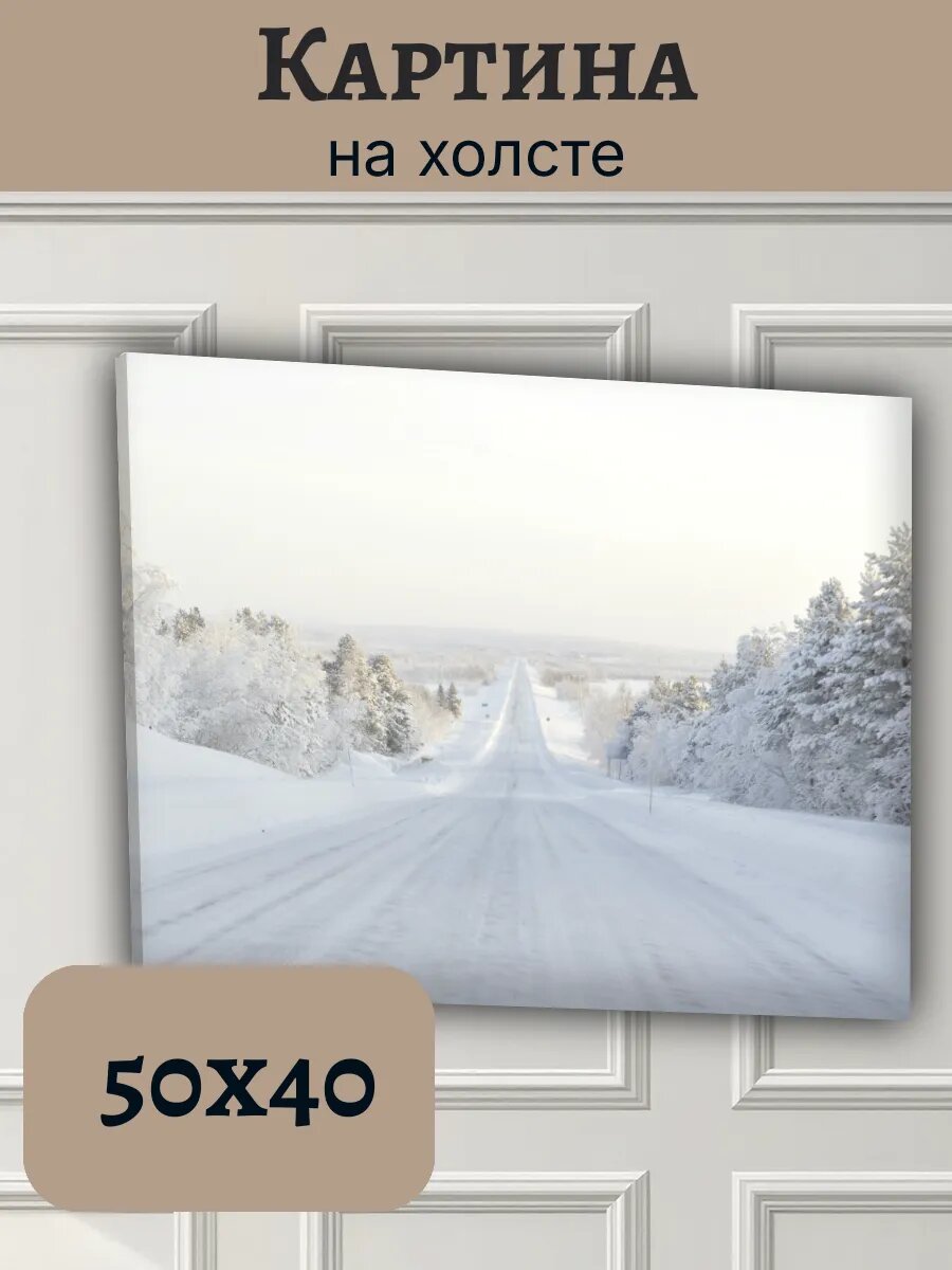 Картина Финляндия Finland 40x50 зимний лесной пейзаж