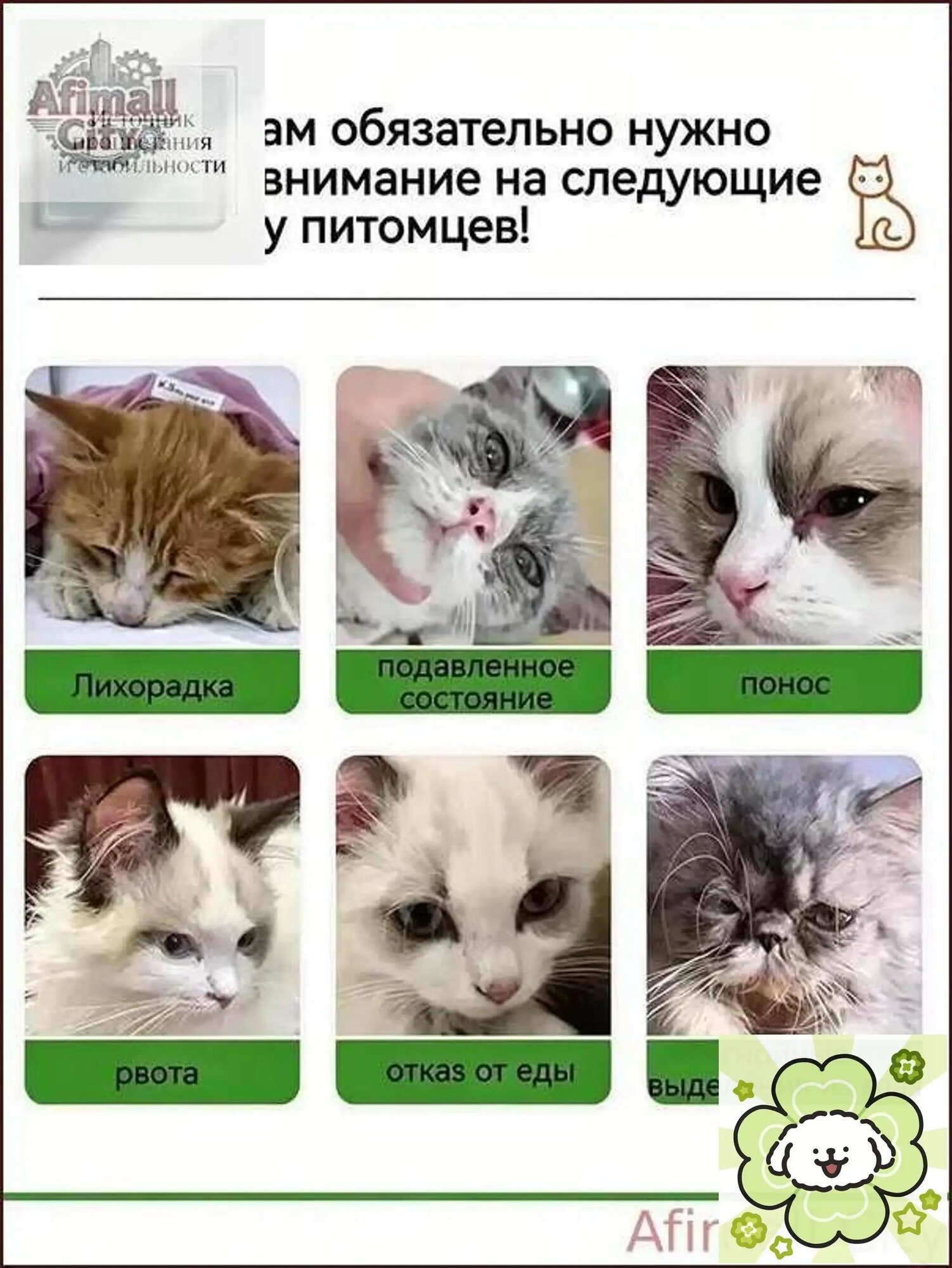 Средство от рвоты и диареи для кошек собак
