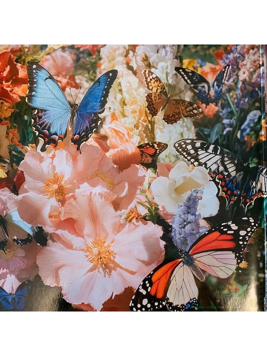 Daphni - Butterfly (2LP) — фото 1