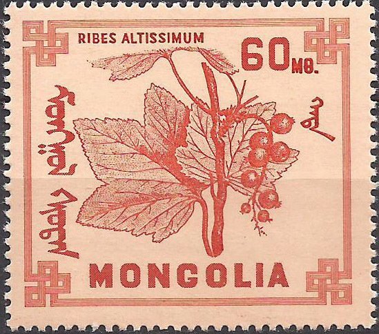 (1968-014) Марка Монголия "Смородина высочайшая" Ягоды III O
