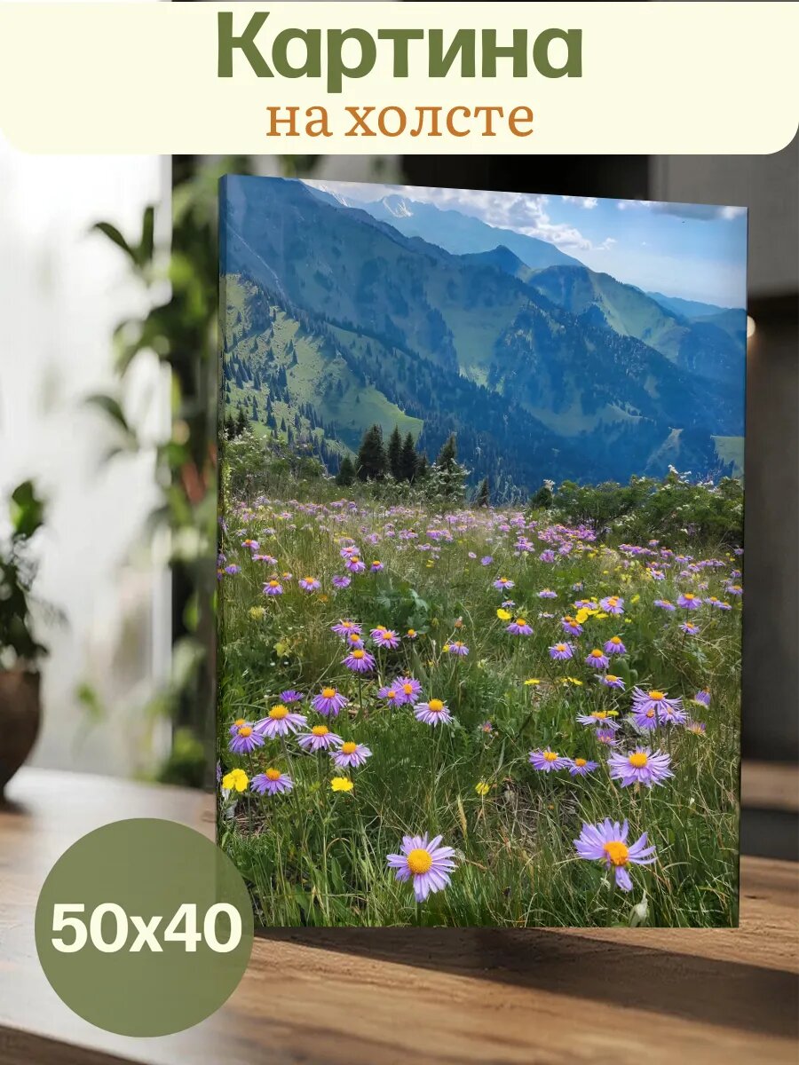 Картина 40х50 Природа Горы Эстетика Пейзаж
