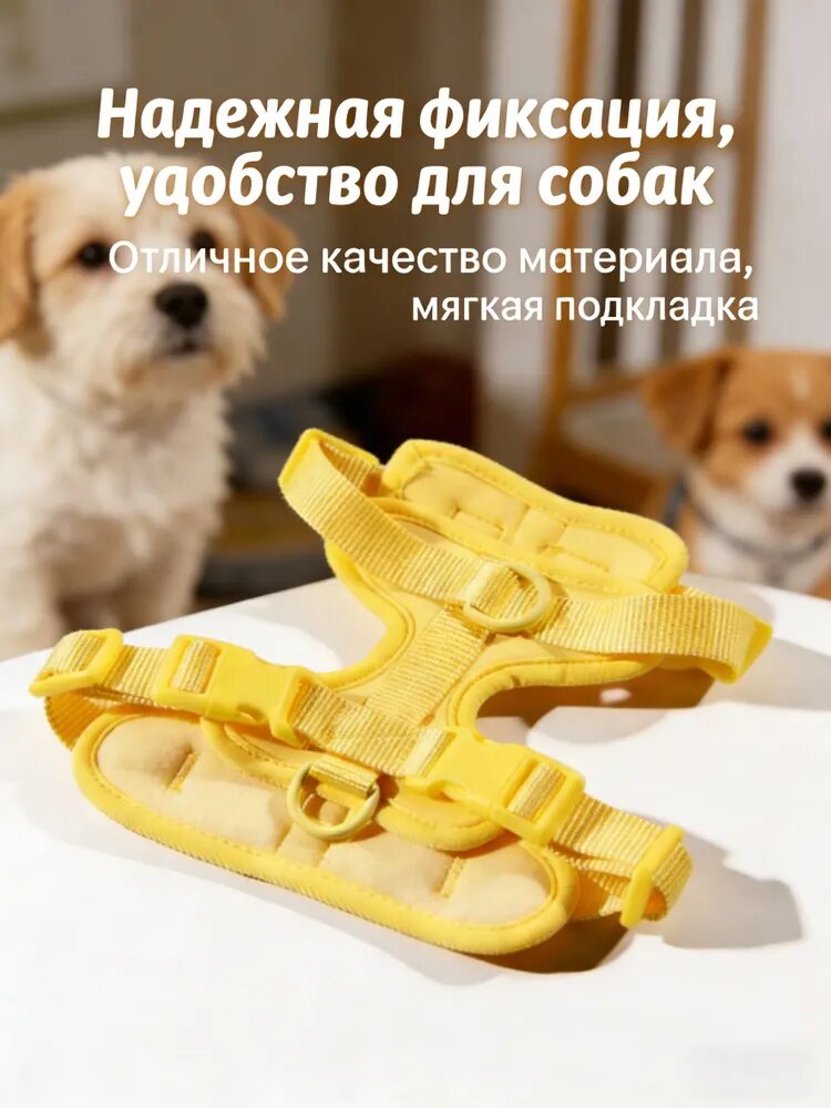 Анатомическая прогулочная шлейка с адресником для собак крупных пород IN GOOD COMPANY (L / желтый)