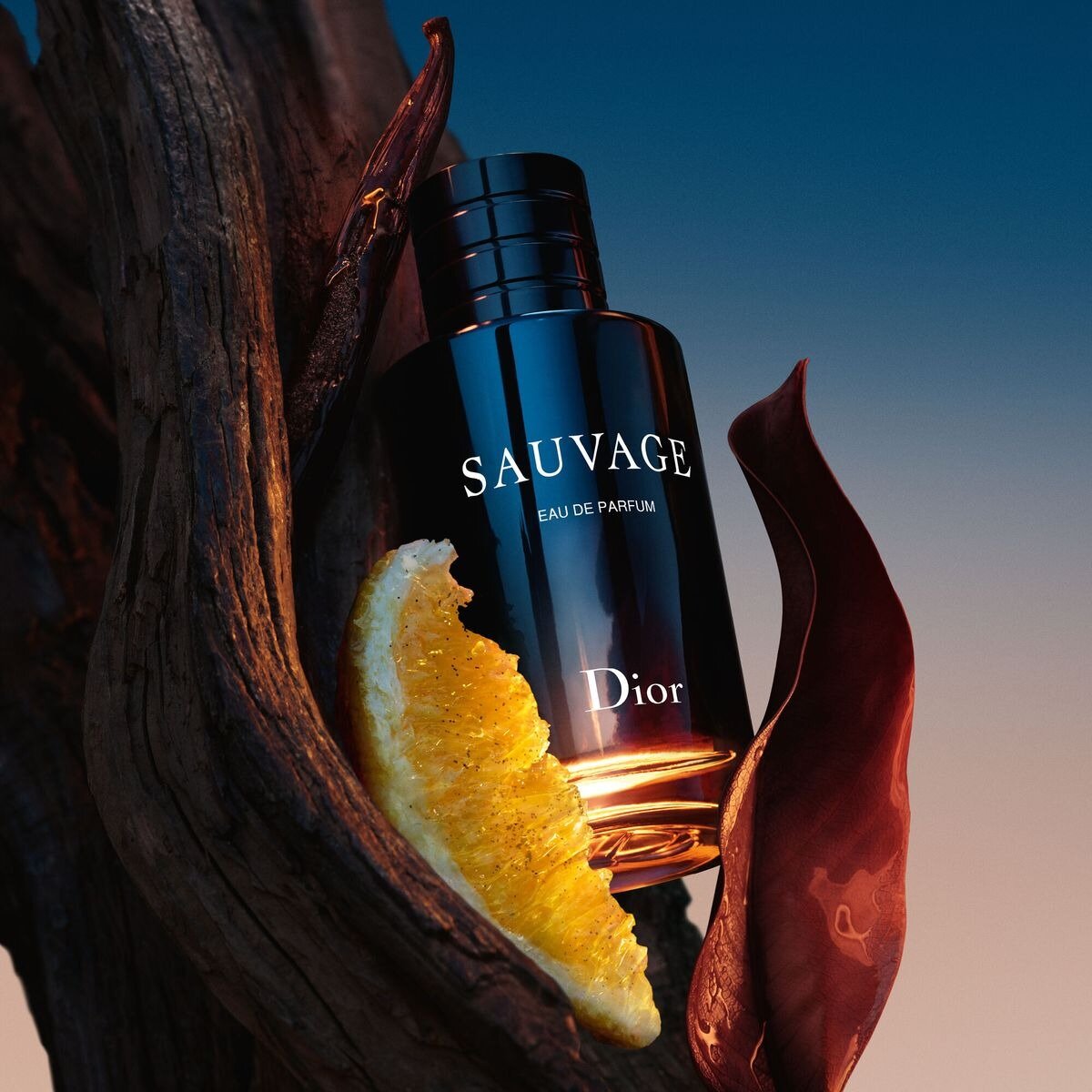 Dior Туалетная вода для мужчин Sauvage 60 мл — фото 1