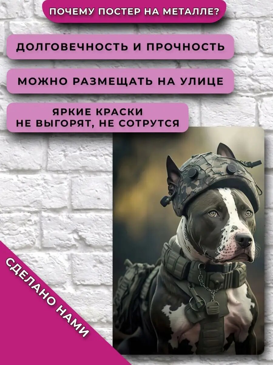 Постер Стаффорд — фото 1