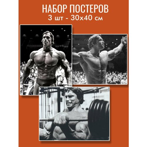 Постеры Арнольд Шварценеггер - 3шт. 30х40см, спорт, мотивация