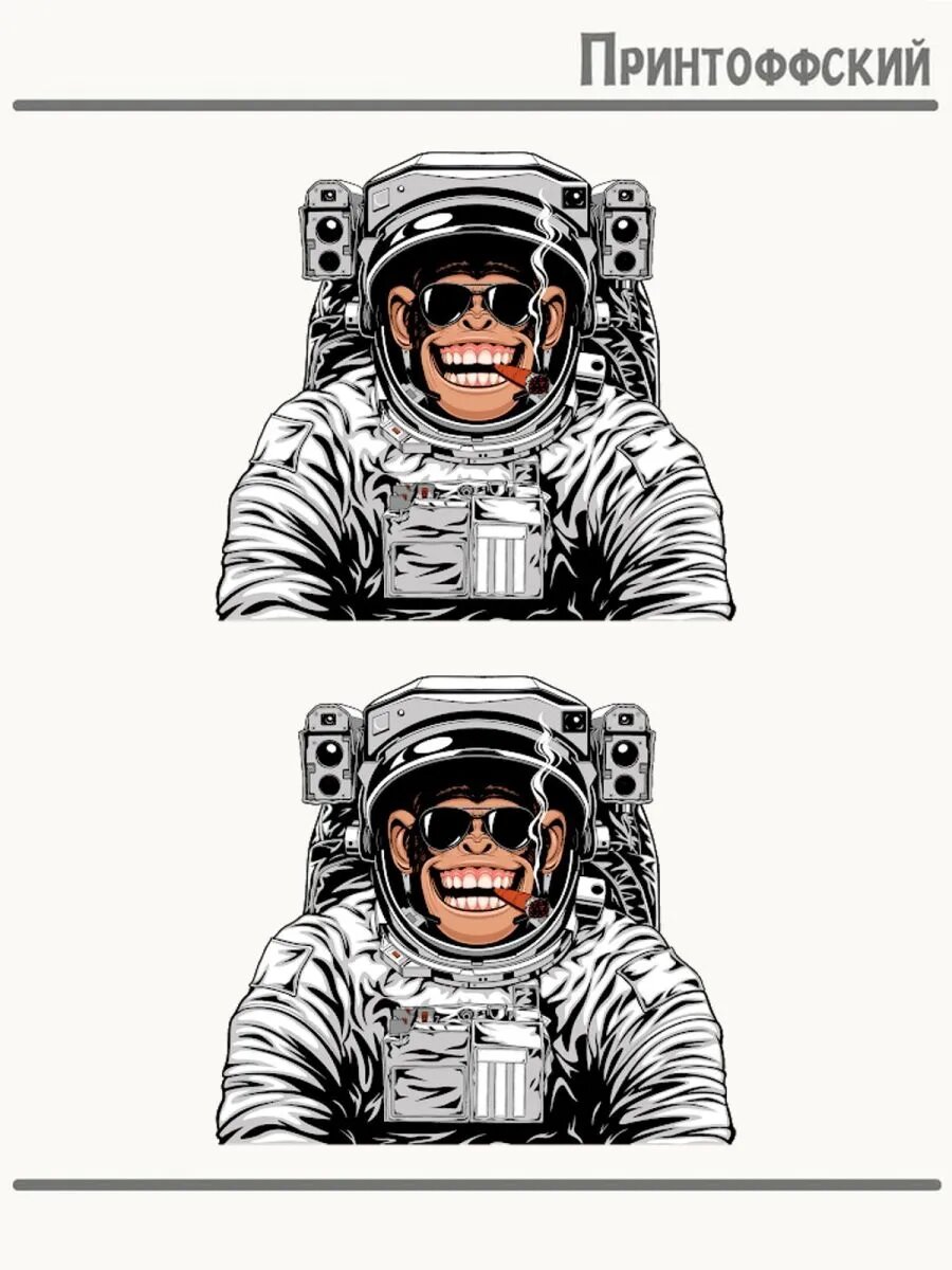 2-е (Две) Термонаклейки обезьянка космонавт скафандр