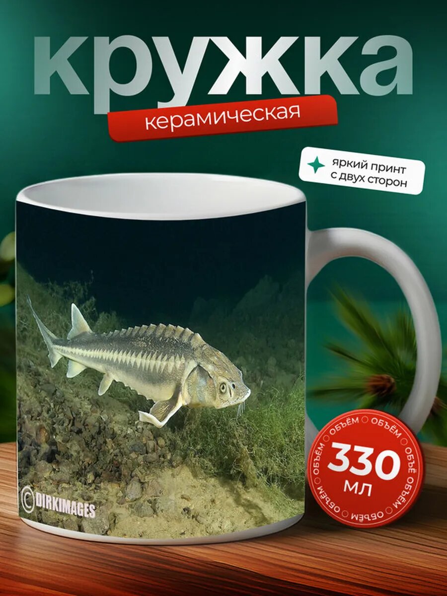 Кружка Осётр рыба 13,