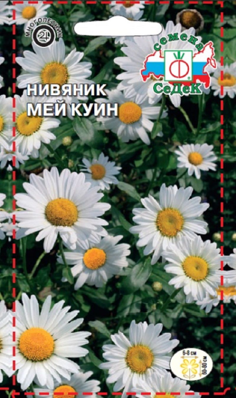 Нивяник Мей куин (крупноцветковый) 0,2г /Седек