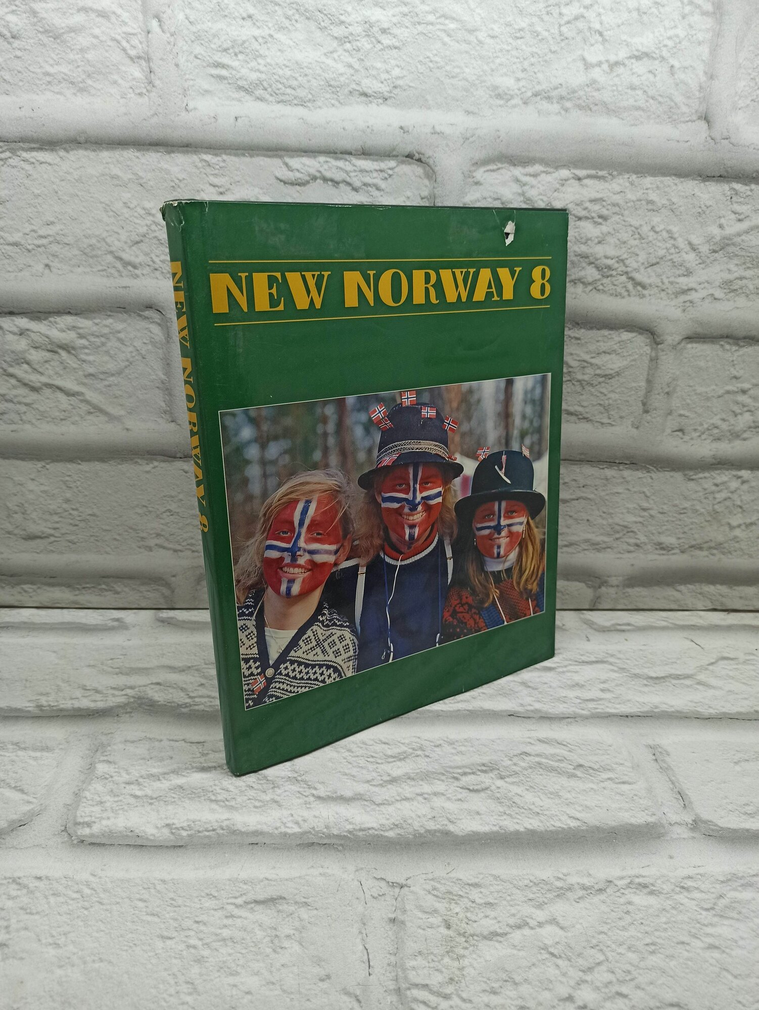New Norway. 8: Travelling on top of the world