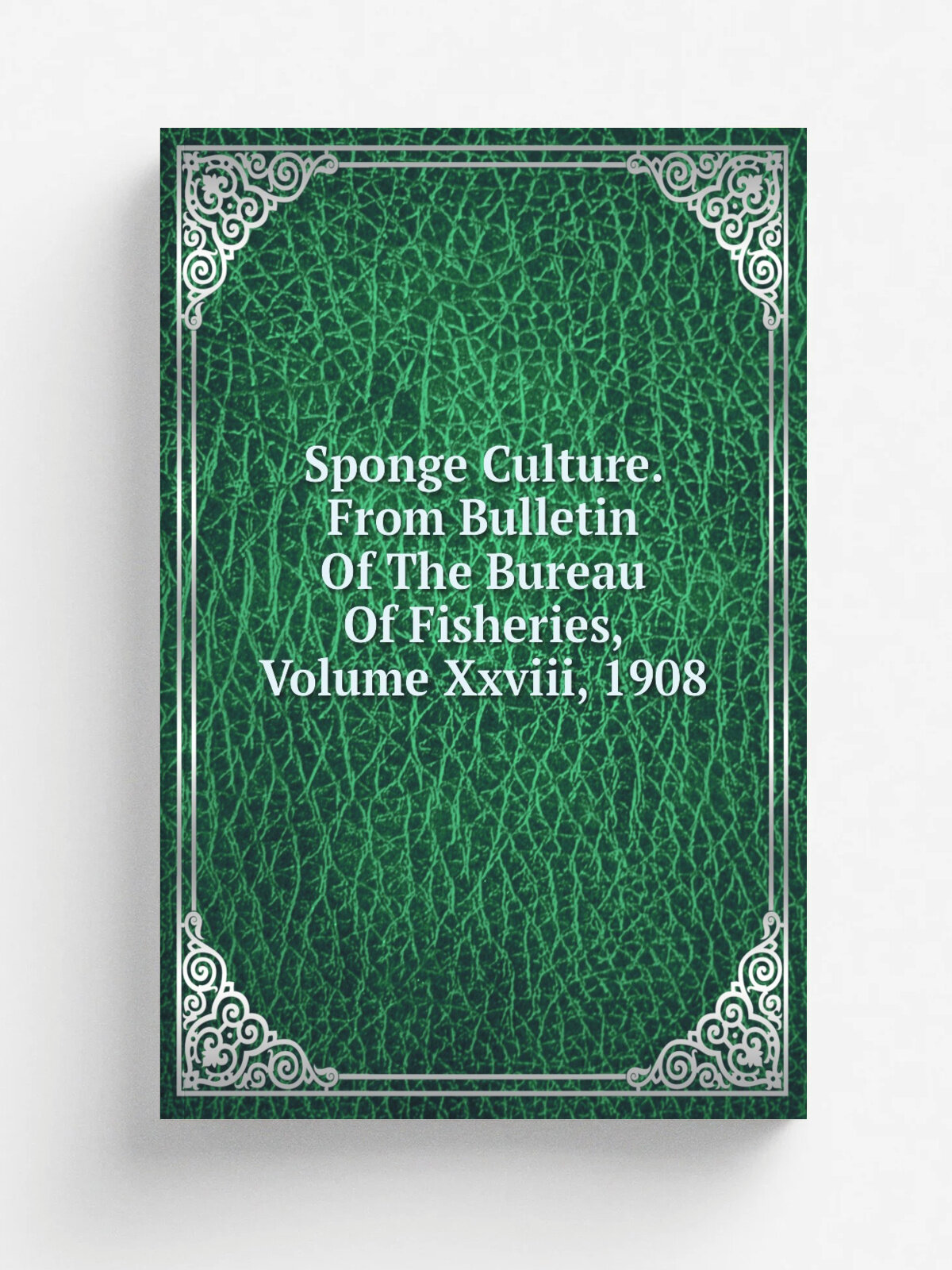 Sponge Culture. From Bulletin Of The Bureau Of Fisheries, Volume Xxviii, 1908