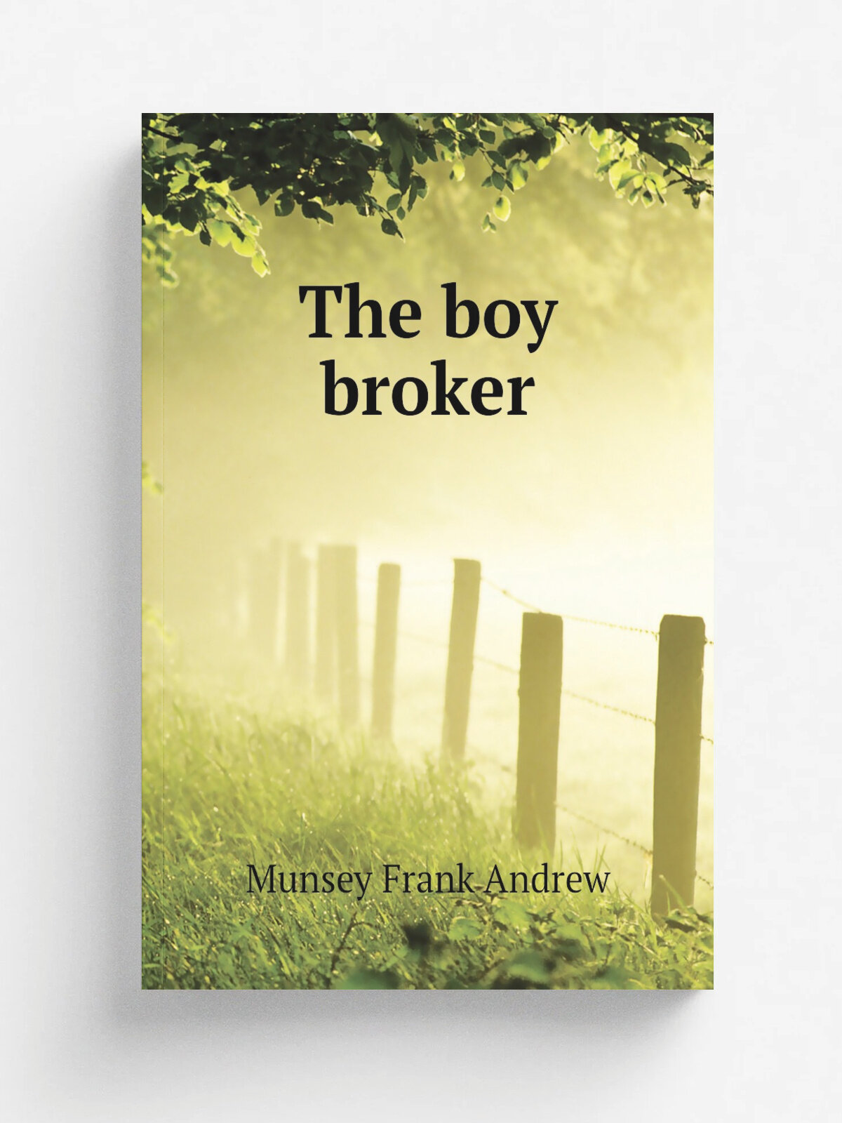 The boy broker | Munsey Frank Andrew | Репринт