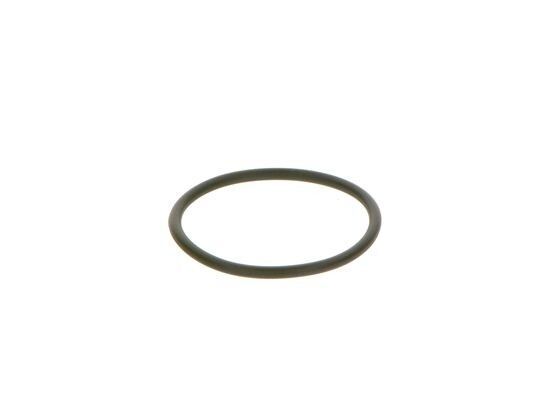Уплотнительное Кольцо (BOSCH F 00R 0P0 166)