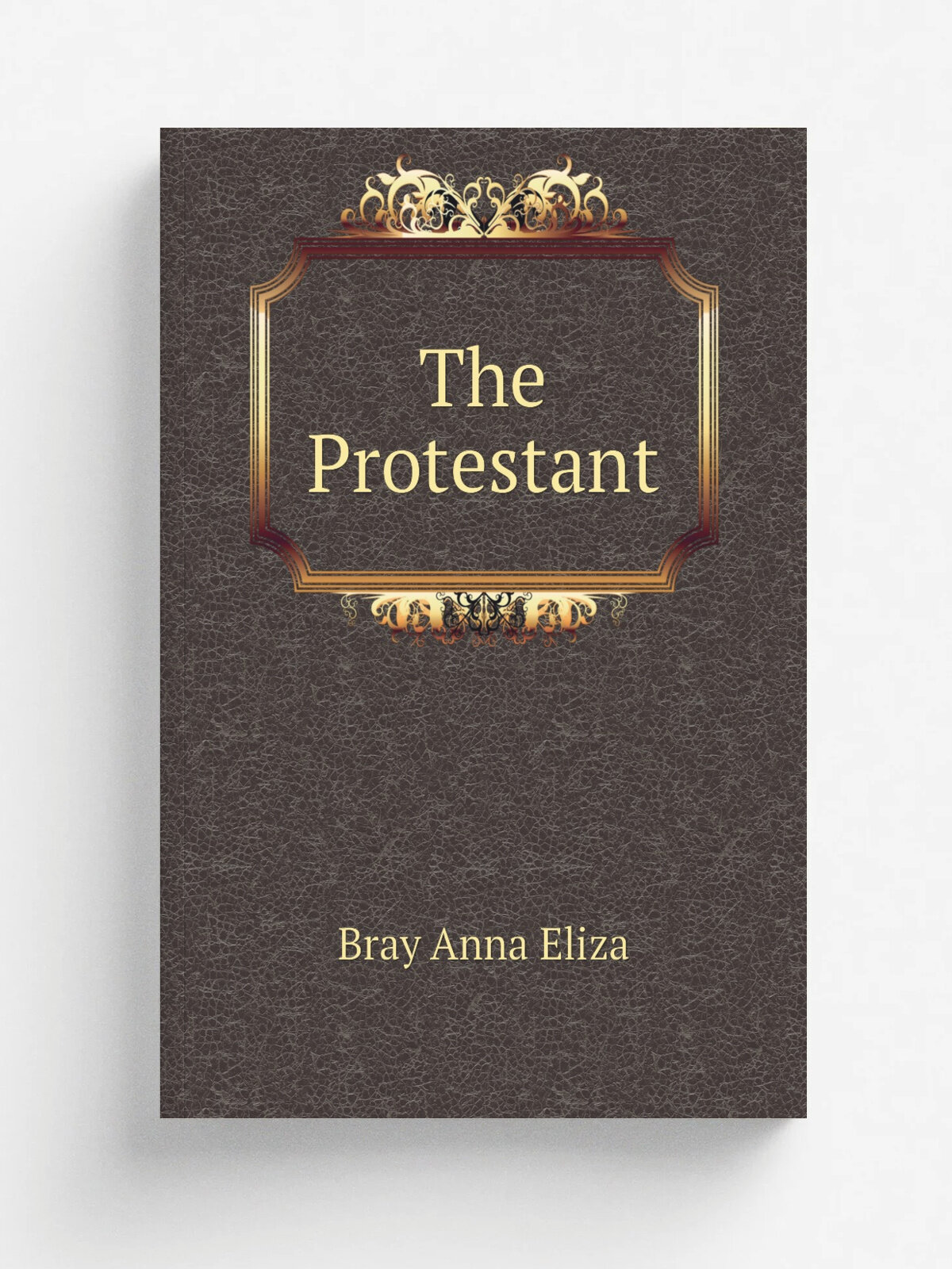 The Protestant | Bray Anna Eliza | 1884 | Chapman and Hall | Репринт