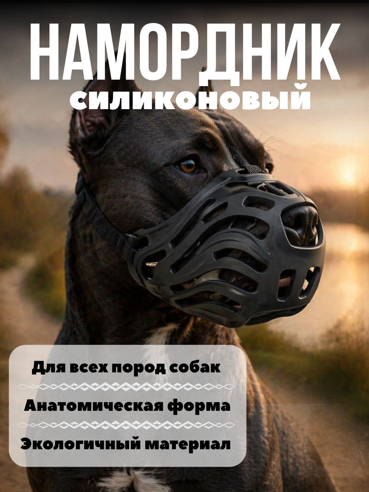 Намордник для собакyh