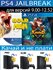 Furwind диск PS4 JB