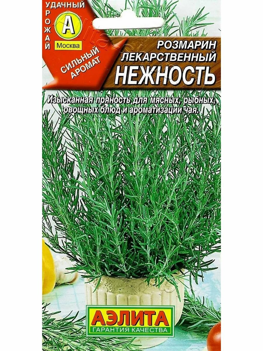 Семена "Розмарин лекарственный Нежность"