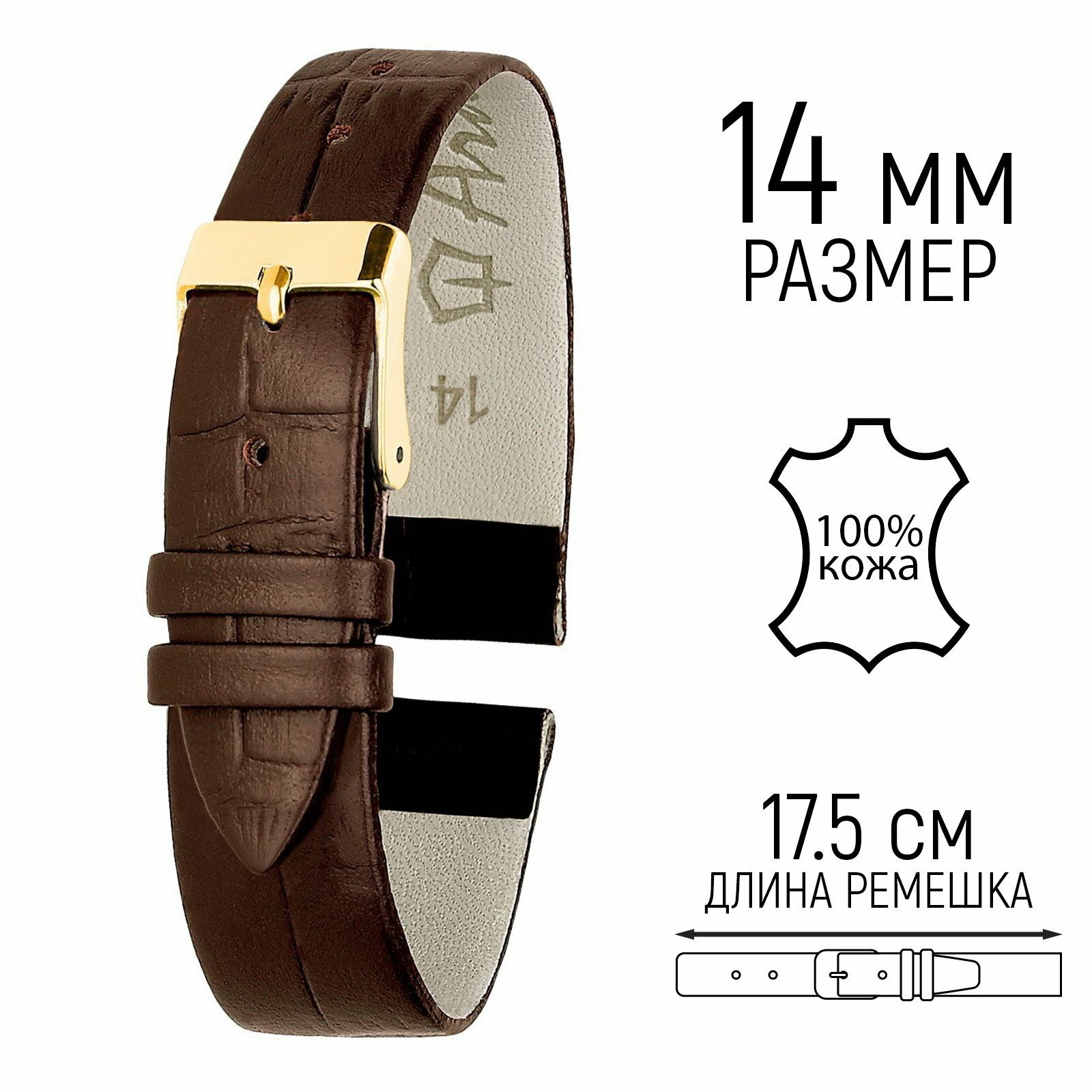 Ремешок ARDI