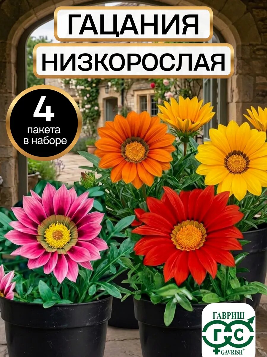 Гацания семена низкорослая гибридная Нью Дэй 4 пакета