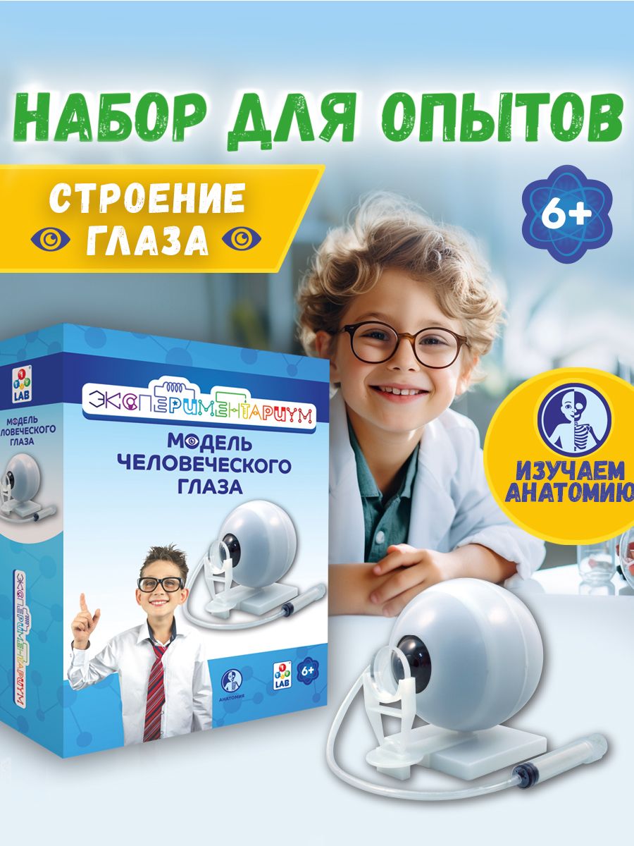 Научный набор для опытов 1TOY экспериментариум Модель глаза, эксперименты для детей