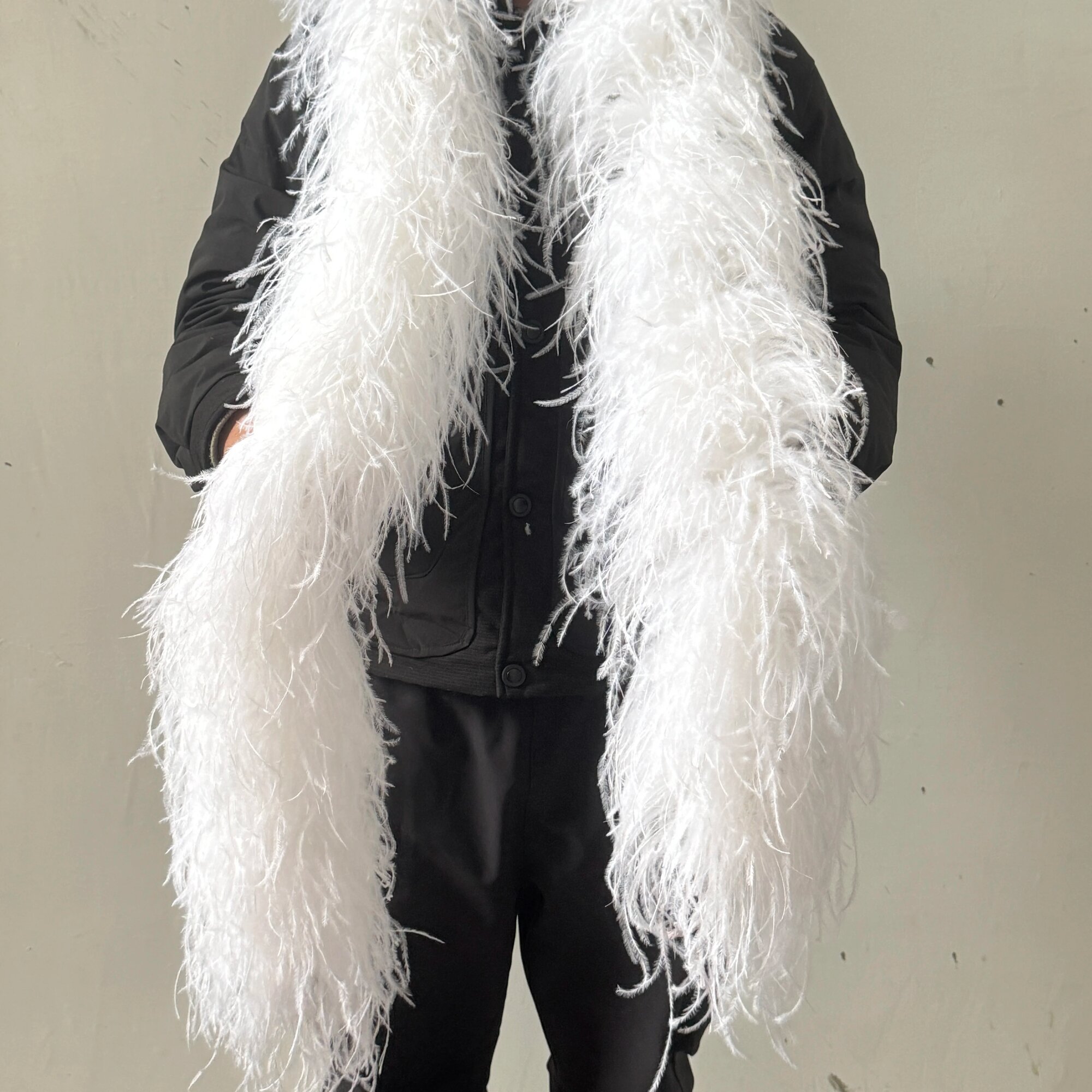 Пушистая отделка из страусиных перьев DailyBesdeals 2 м Белый, 10Ply 2Meters, Bleach white