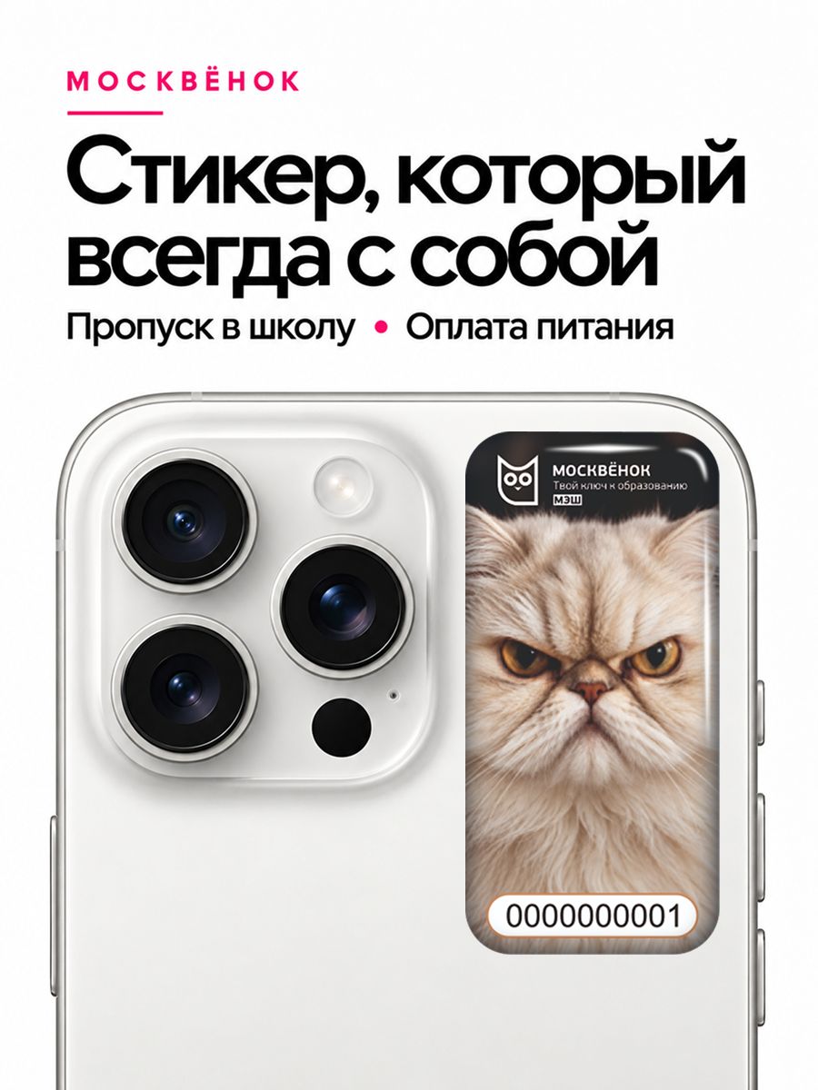 Стикер Москвёнок пропуск в школу