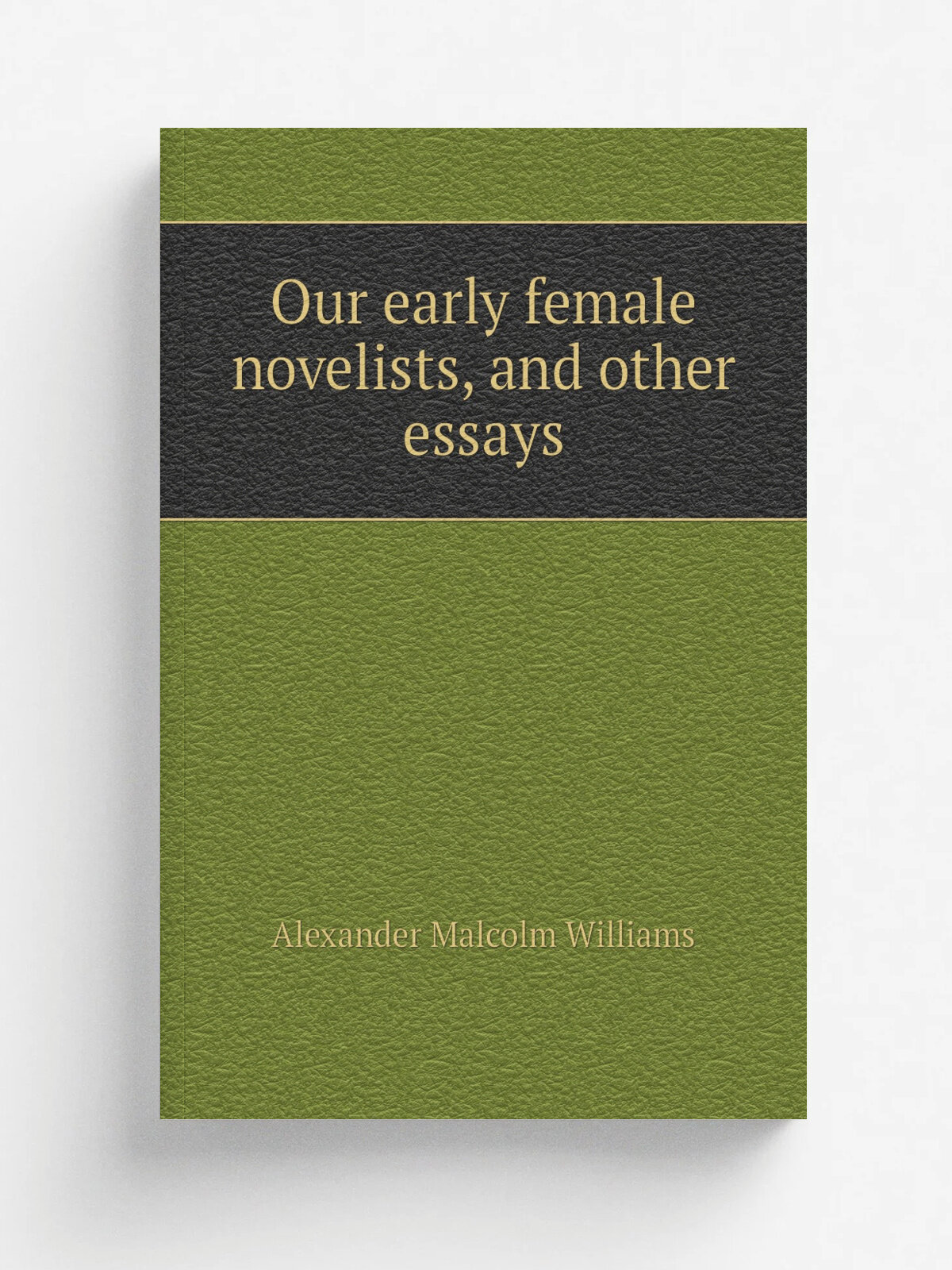 Our early female novelists, and other essays