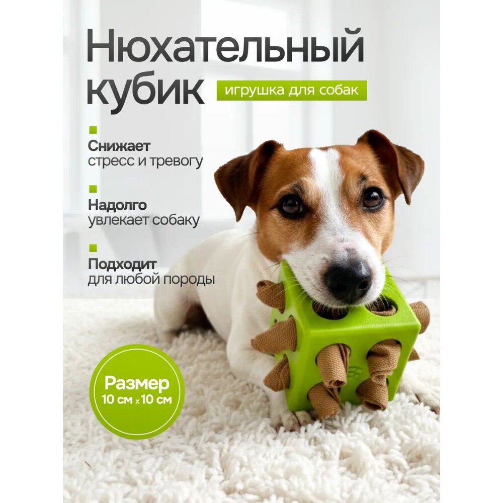 Игрушки для домашних животных, собака, нюхающая кубик Рубика, АБС-пластик, развивающие игры и чистка зубов