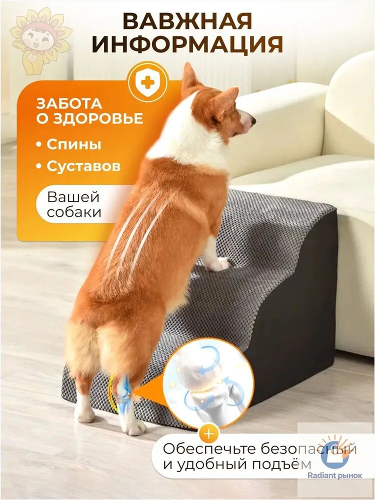 Лестница для собак — фото 1
