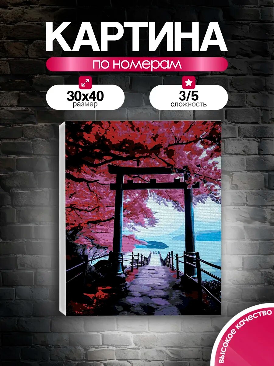 Картина по номерам 30x40 Японские врата Тории