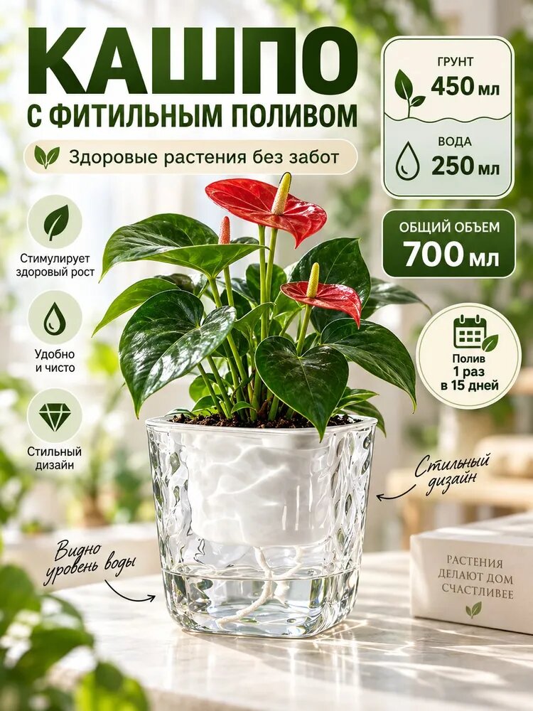 Кашпо с автополивом 0.7 л, прозрачное, с фитильным поливом, для антуриума и маранты
