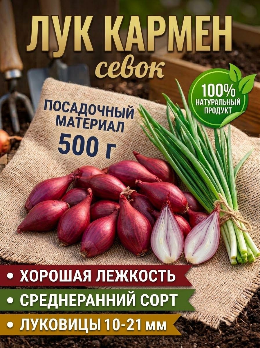 Лук севок для посадки Кармен 500г