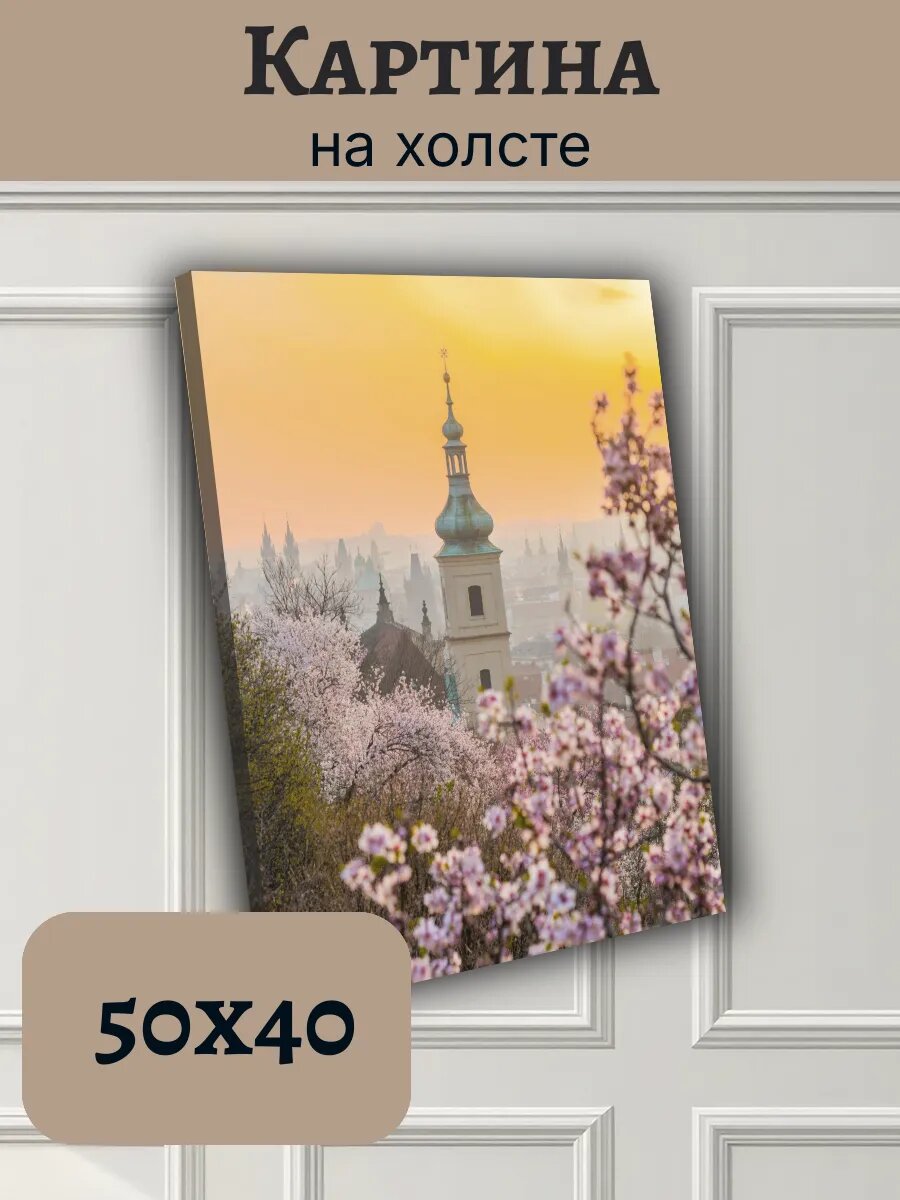 Картина Чехия Czech Европа 40x50 Прага