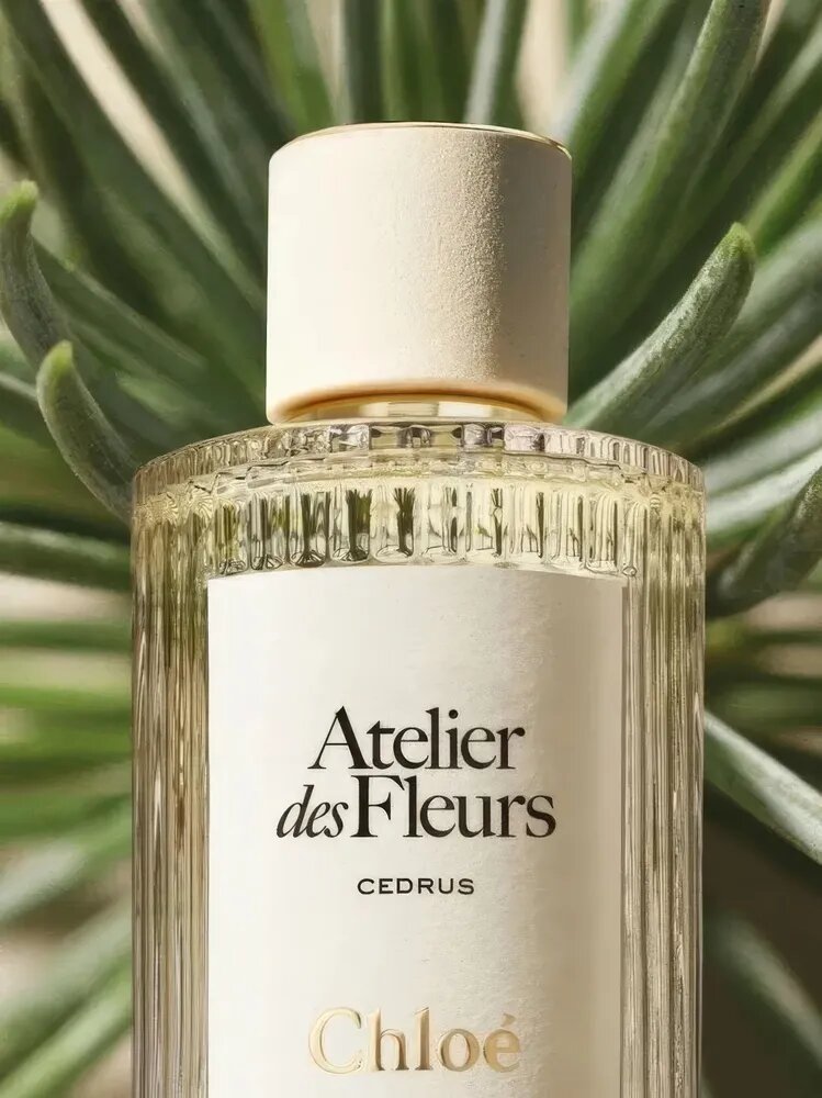 Chloe Духи Atelier des Fleurs Cèdrus 50 мл