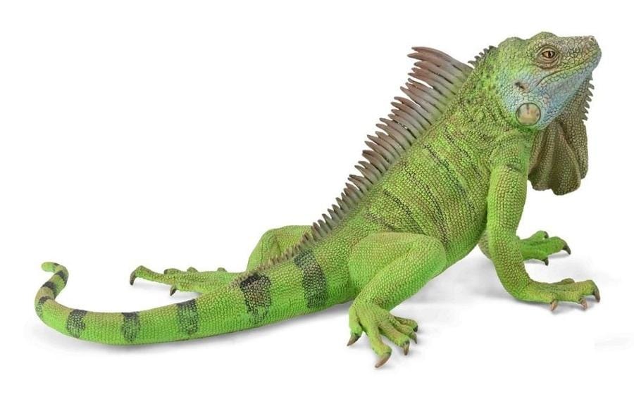 Фигурка Collecta игуана